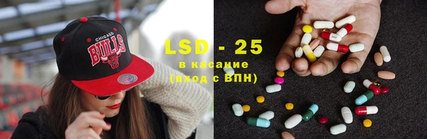 ГАЛЛЮЦИНОГЕННЫЕ ГРИБЫ Бородино