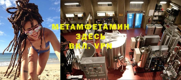 ГАЛЛЮЦИНОГЕННЫЕ ГРИБЫ Бородино