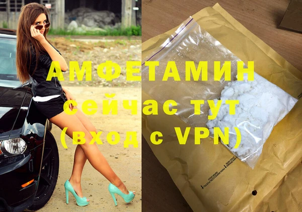 крисы Тында