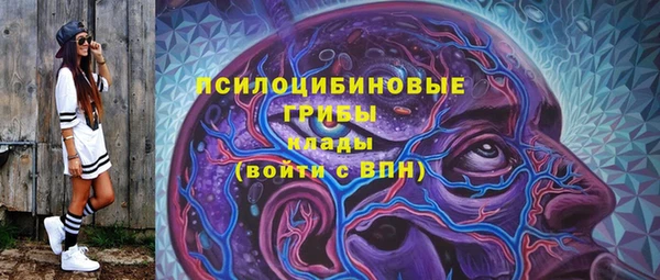 ГАЛЛЮЦИНОГЕННЫЕ ГРИБЫ Бородино