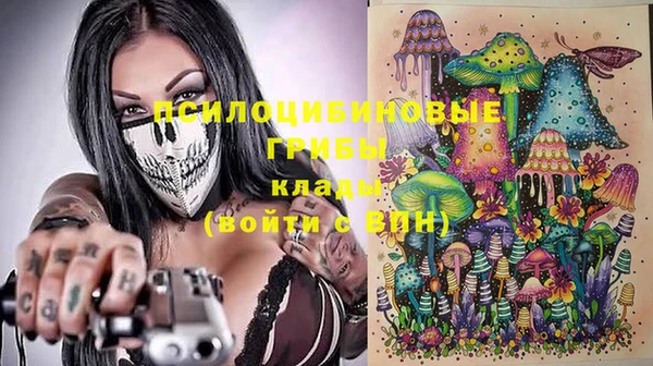 ГАЛЛЮЦИНОГЕННЫЕ ГРИБЫ Бородино