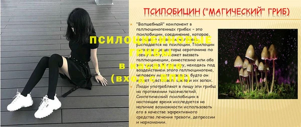 ГАЛЛЮЦИНОГЕННЫЕ ГРИБЫ Бородино