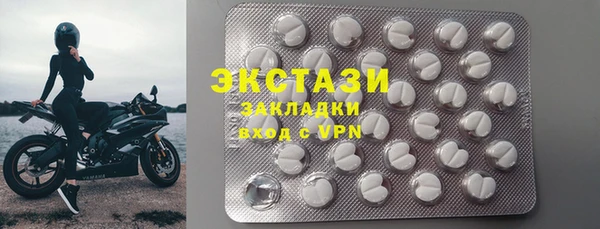 ГАЛЛЮЦИНОГЕННЫЕ ГРИБЫ Бородино