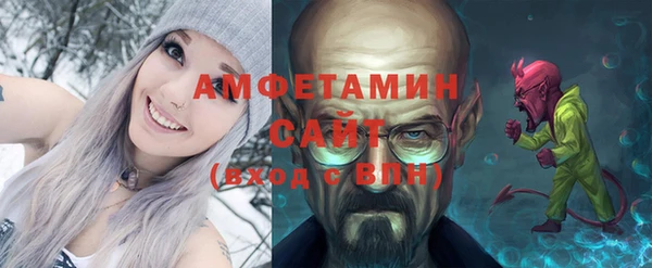 ГАЛЛЮЦИНОГЕННЫЕ ГРИБЫ Бородино